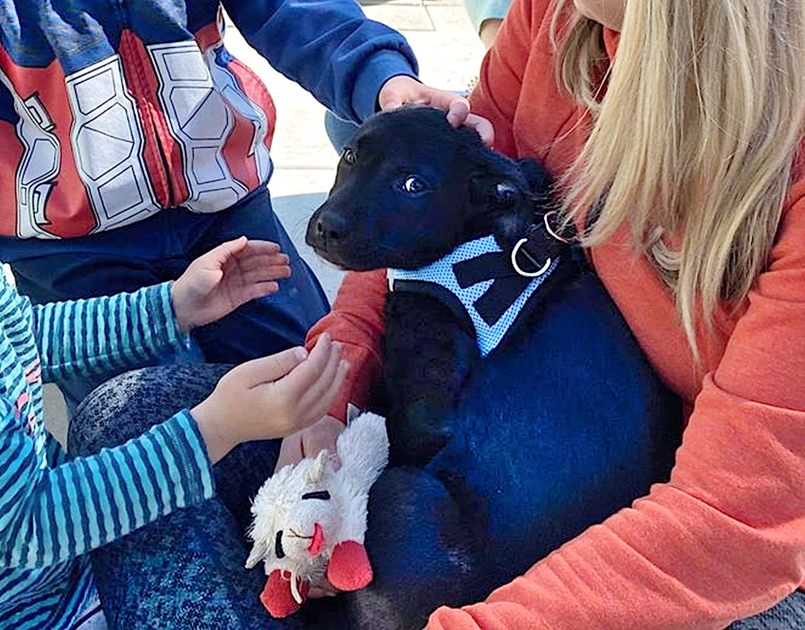 Look Who's Been Adopted | Magnolia